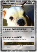 Mega Briggs
