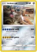 broken cat
