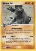 General Cat