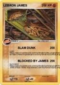 LEBRON JAMES