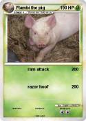 Flambi the pig