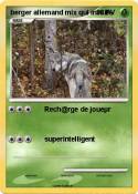 berger allemand