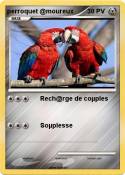 perroquet @mour