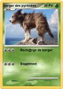 berger des