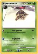 super tortue