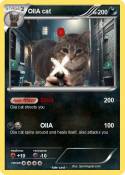 OIIA cat