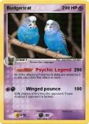 Budgericat