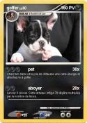 goffer