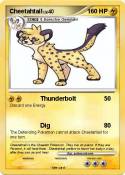 Cheetahtail
