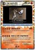 Cat norris EX