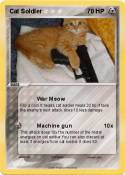 Cat Soldier