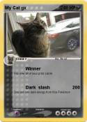 My Cat gx