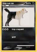 loup noir lab