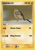 Adult Bird EX