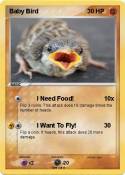 Baby Bird