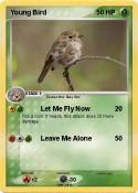 Young Bird
