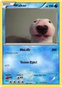 Walter