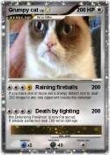 Grumpy cat