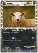 sheep