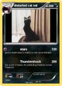 distorted cat