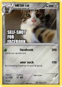MEGA cat
