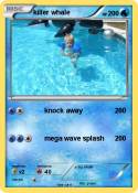 killer whale