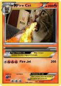 Fire Cat