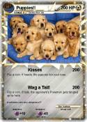 Puppies!!