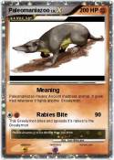 Paleomaniazoo