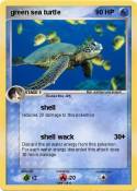 green sea turtl