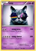 swag