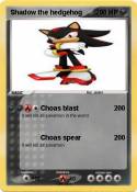 Shadow the hedg