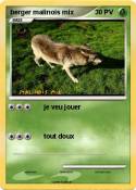 berger malinois