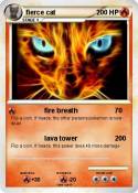 fierce cat