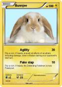 Bunnjee