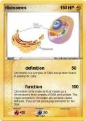 ribosomes
