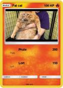 Fat cat
