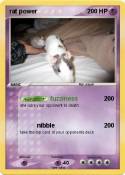 rat power