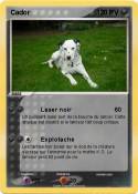 Cador