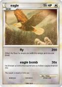 eagle