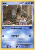 aiden