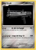 ksg 12
