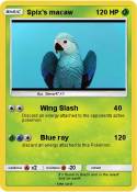 Spix’s macaw