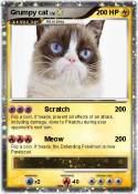 Grumpy cat