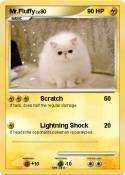 Mr.Fluffy