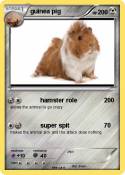 guinea pig