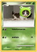 gato