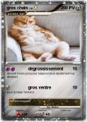 gros chats