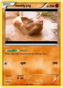 muddy pig
