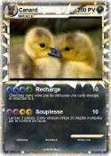 Canard